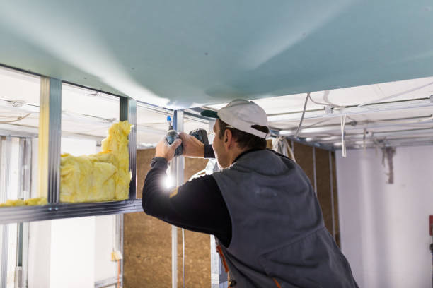 Best Attic Insulation Installation  in The Village Of Indian Hill, OH